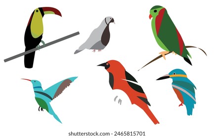 Flying Birds Vector And Illustration. 