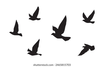 Flying Birds Vector And Illustration. 