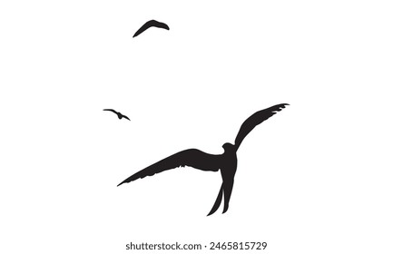 Flying Birds Vector And Illustration. 