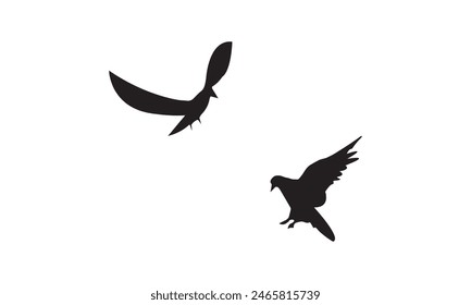 Flying Birds Vector And Illustration. 