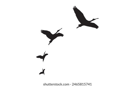 Flying Birds Vector And Illustration. 