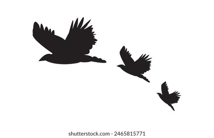 Vector E Ilustración De Aves Voladoras. 