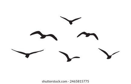 Flying Birds Vector And Illustration. 