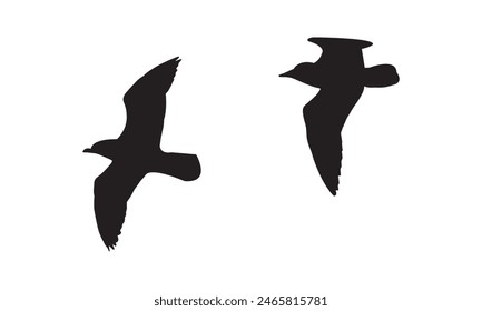 Flying Birds Vector And Illustration. 