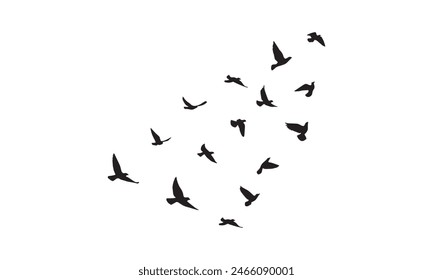 Flying Birds Vector And Illustration. 