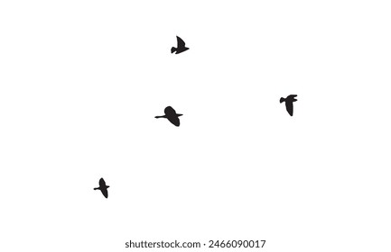 Vector E Ilustración De Aves Voladoras. 