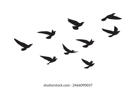 Flying Birds Vector And Illustration. 