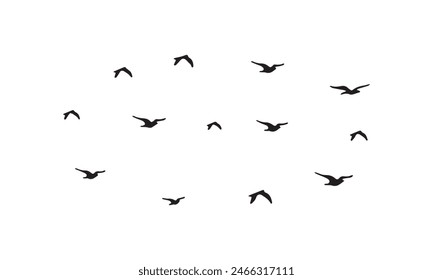 Flying Birds Vector And Illustration. 