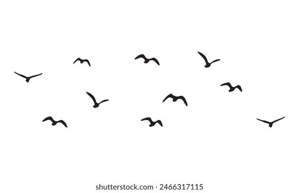 Flying Birds Vector And Illustration. 