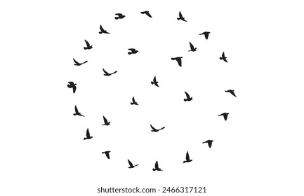 Vector E Ilustración De Aves Voladoras. 