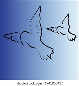 flying birds vector , illustration, background