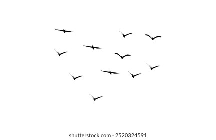 
Flying Birds Vector Illustration Collection. 