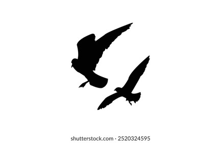 
Vektorgrafik-Kollektion fliegender Vögel. 