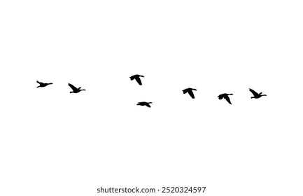 
Flying Birds Vector Illustration Collection. 