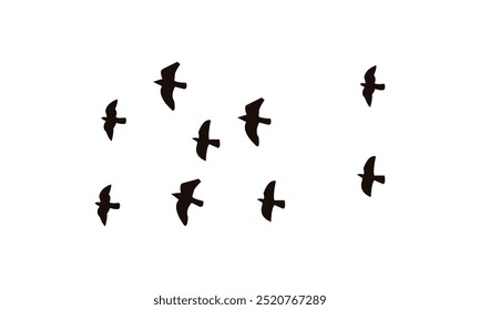 Flying Birds Vector Illustration Collection. 