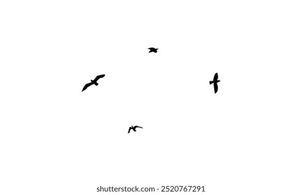 Flying Birds Vector Illustration Collection. 