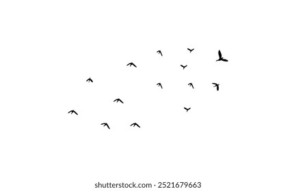 Flying Birds Vector Illustration Collection. 