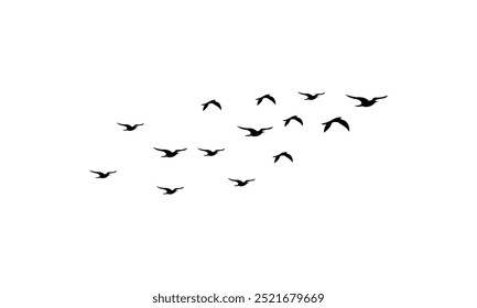 Flying Birds Vector Illustration Collection. 