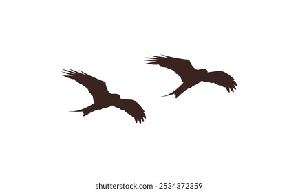 Flying Birds Vector Illustration Collection. 
