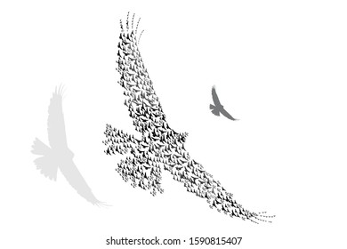 Flying birds. Vector image. White background.  