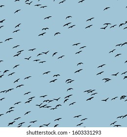 Flying birds. Vector image. White background. Seamless pattern.