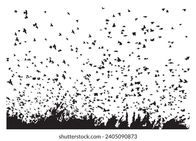 Flying birds. Vector images. White background. 