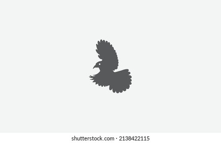 Flying Birds vector logo design