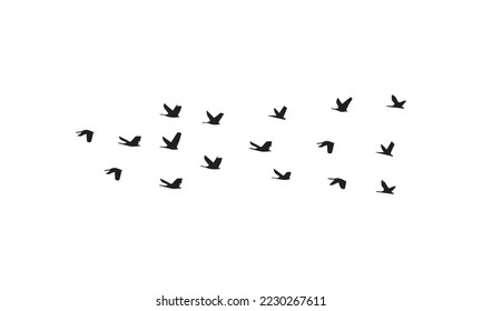 Flying Birds Vector And Silhouette Design. 
