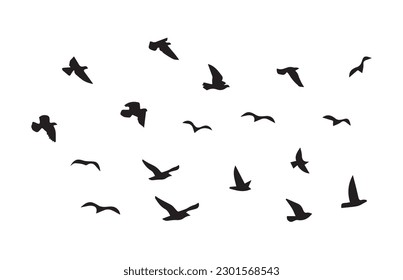 flying birds vector birds vectors illustration
