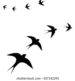flying birds,vector illustration
