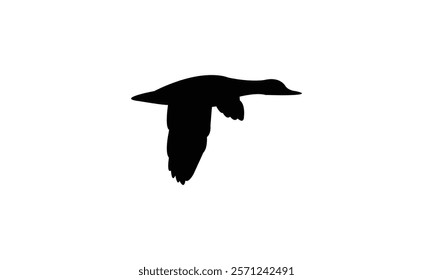 Flying Black Duck Bird Silhouette Design  And Vector Illustration. 