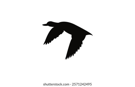 Flying Black Duck Bird Silhouette Design  And Vector Illustration. 