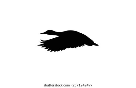 Flying Black Duck Bird Silhouette Design  And Vector Illustration. 