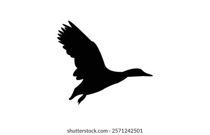 Flying Black Duck Bird Silhouette Design  And Vector Illustration. 