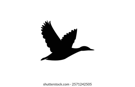 Flying Black Duck Bird Silhouette Design  And Vector Illustration. 