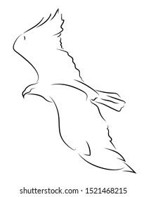 Flying black line eagle on white background. Hand drawing vector graphic.