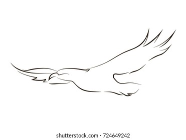 Flying Black Line Eagle On White Background. Hand Drawing Vector Graphic Bird. Animal Illustration.