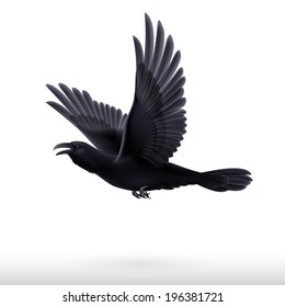 Flying black raven isolated on white background 