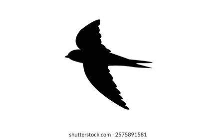 Flying Black Swift Bird Silhouette Design  And Vector Illustration. 