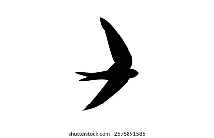 Flying Black Swift Bird Silhouette Design  And Vector Illustration. 