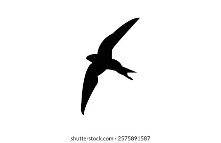 Flying Black Swift Bird Silhouette Design  And Vector Illustration. 