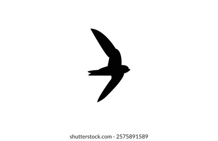 Flying Black Swift Bird Silhouette Design  And Vector Illustration. 