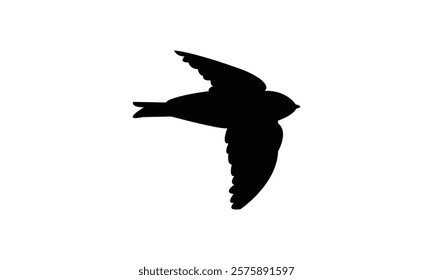 Flying Black Swift Bird Silhouette Design  And Vector Illustration. 