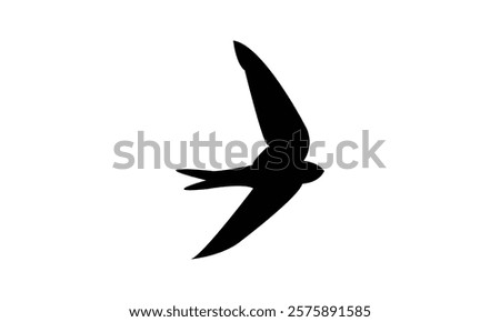 Flying Black Swift Bird Silhouette Design  And Vector Illustration. 