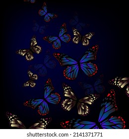 Flying blue and brown butterflies on a dark background. Vector illustration