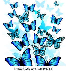 Flying blue butterflies