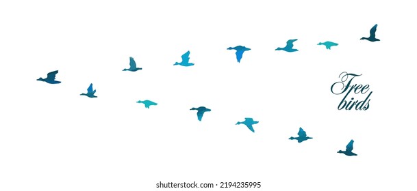 Flying blue duck silhouette. Vector illustration