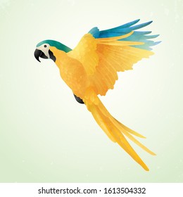 Flying blue and gold macaw isolated on light background. Vector illustration of Brazilian Ara. Watercolor on paper craft style.