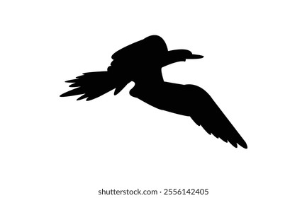 Flying Boobie Bird Silhouette Design  And Illustration. 