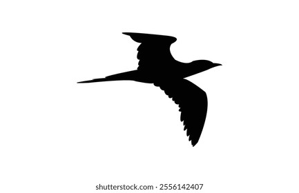 Flying Boobie Bird Silhouette Design  And Illustration. 